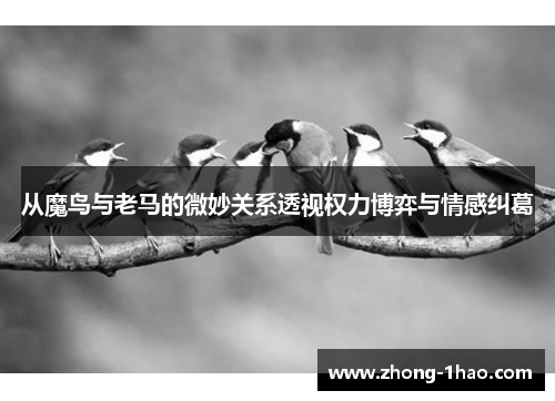 从魔鸟与老马的微妙关系透视权力博弈与情感纠葛
