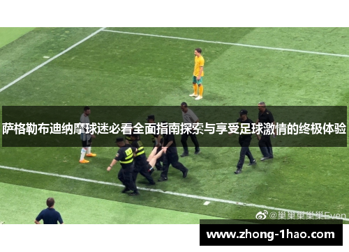 萨格勒布迪纳摩球迷必看全面指南探索与享受足球激情的终极体验 萨格勒布迪纳摩球迷必看全面指南探索与享受足球激情的终极体验