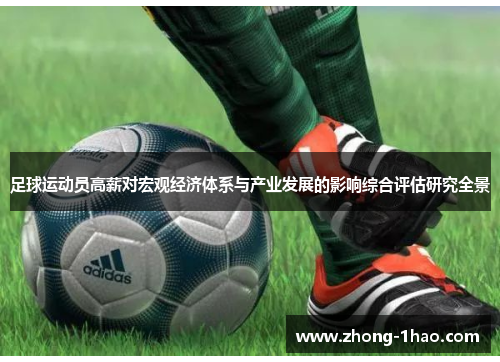 足球运动员高薪对宏观经济体系与产业发展的影响综合评估研究全景
