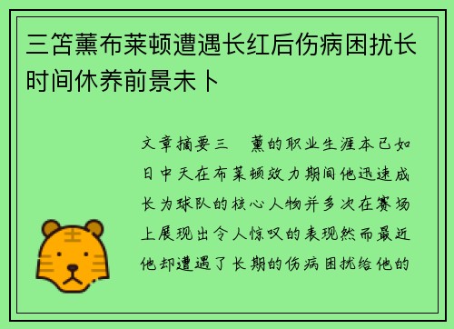 三笘薰布莱顿遭遇长红后伤病困扰长时间休养前景未卜